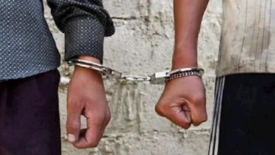 2013 11 30 16 0 23 668.webp