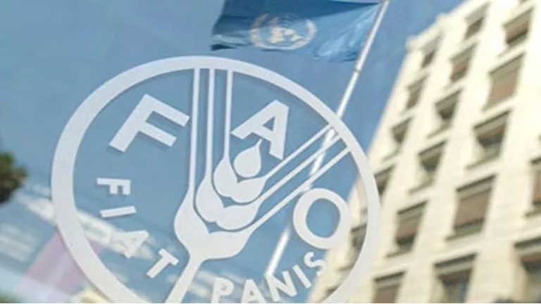 2018 2 22 22 41 43 600.webp