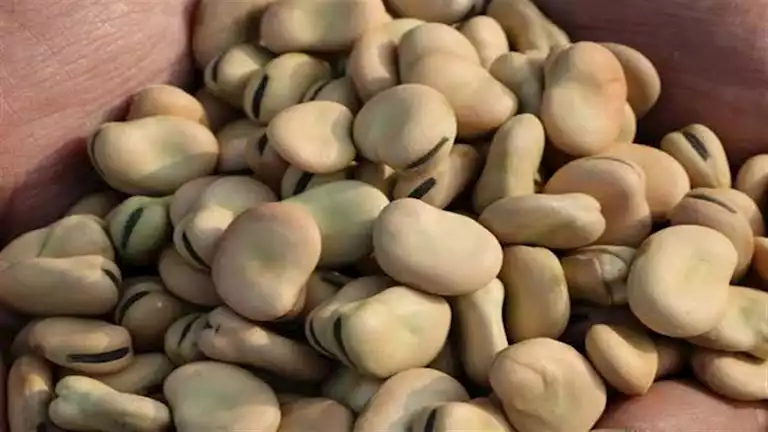 2020 6 15 16 2 51 322.webp