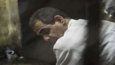 2020 8 17 23 11 49 547.webp