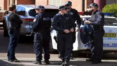 2021 12 19 8 50 1 253.webp