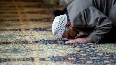 2021 12 6 1 41 15 261.webp