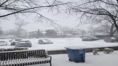 2022 1 29 14 48 25 873.webp