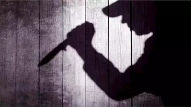 2023 8 16 20 28 39 698.webp