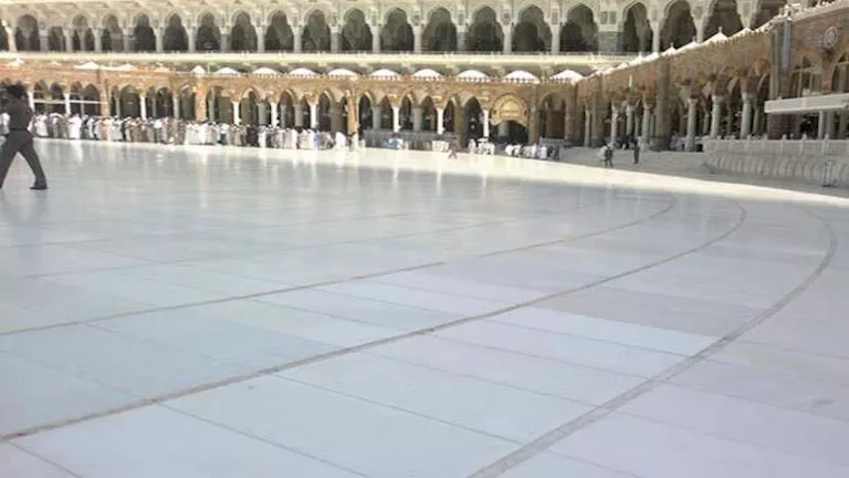 2024 10 16 16 32 5 591.webp