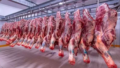 2024 10 20 12 2 16 357.webp