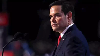 2024 11 13 23 45 56 62.webp