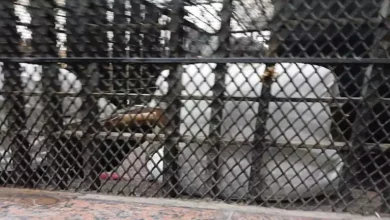 2024 11 14 22 16 1 181.webp