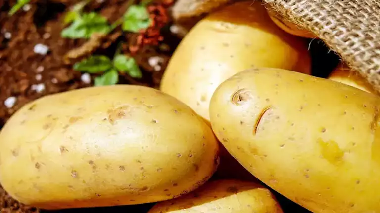 2024 11 16 10 26 18 939.webp