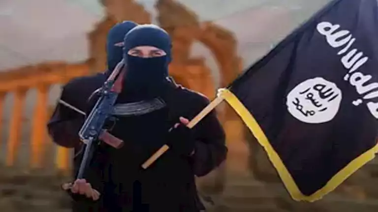 2024 12 8 13 0 6 913.webp