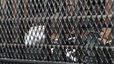 2024 1 17 14 44 18 571.webp