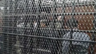 2024 1 17 14 44 19 687.webp