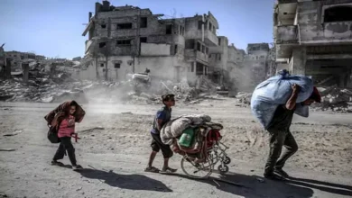 2025 10 11 16 16 1 417.webp