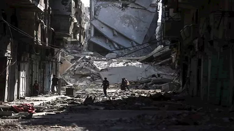 2025 10 11 16 16 2 370.webp