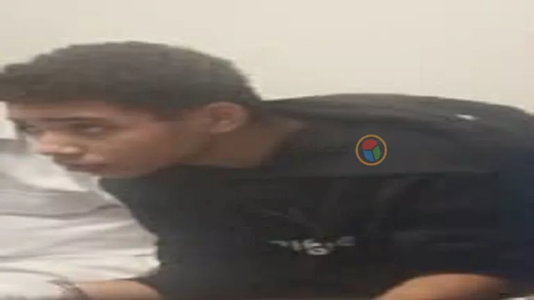 2025 10 22 4 44 23 989.webp