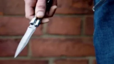 2025 10 2 12 44 30 435.webp