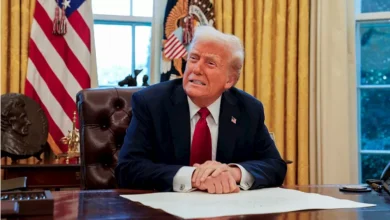 2025 10 3 12 46 55 876.webp