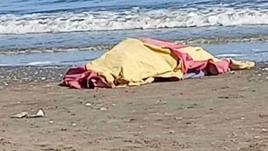 2025 10 4 12 6 48 658.webp