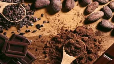 2025 10 9 15 25 59 4.webp