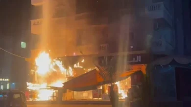 2025 11 15 0 5 54 852.webp