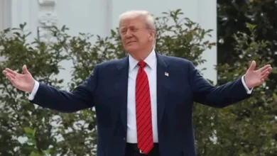 2025 11 21 0 12 5 843.webp