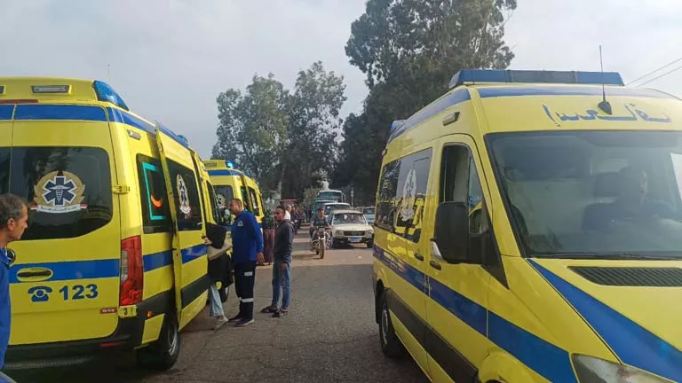 2025 11 24 14 16 59 981.webp