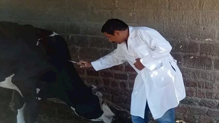 2025 11 29 11 32 7 916.webp