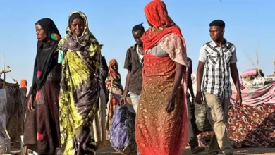 2025 11 2 21 6 38 322.webp