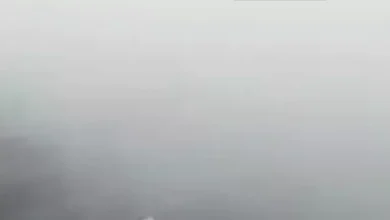 2025 12 10 10 42 42 681.webp