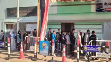 2025 12 10 11 46 38 834.webp