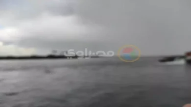 2025 12 10 12 13 27 579.webp