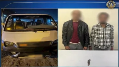 2025 12 10 14 28 6 476.webp