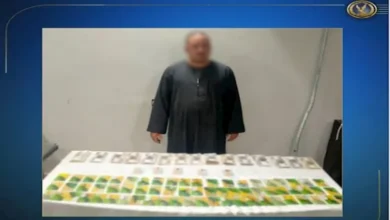 2025 12 10 14 48 59 120.webp