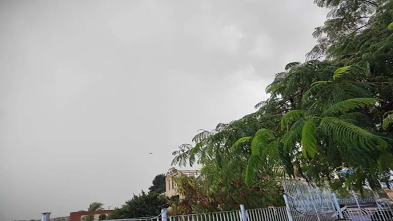 2025 12 10 15 10 36 793.webp