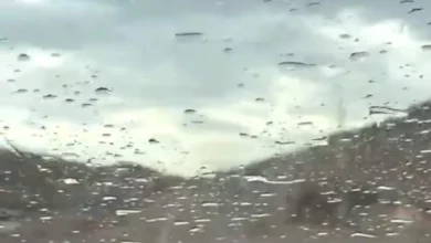 2025 12 10 15 55 34 117.webp