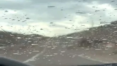 2025 12 10 15 55 36 523.webp