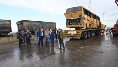 2025 12 10 16 48 57 614.webp