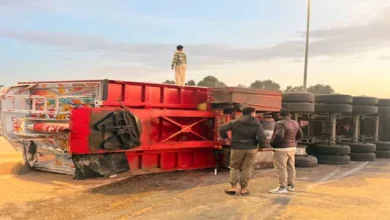 2025 12 10 18 49 3 396.webp