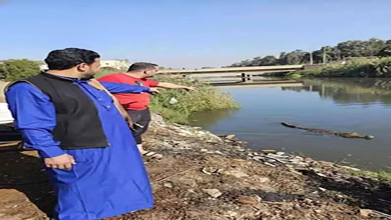 2025 12 10 23 16 37 664.webp