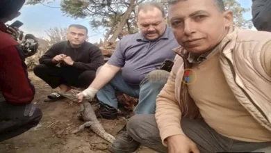 2025 12 11 10 27 58 940.webp