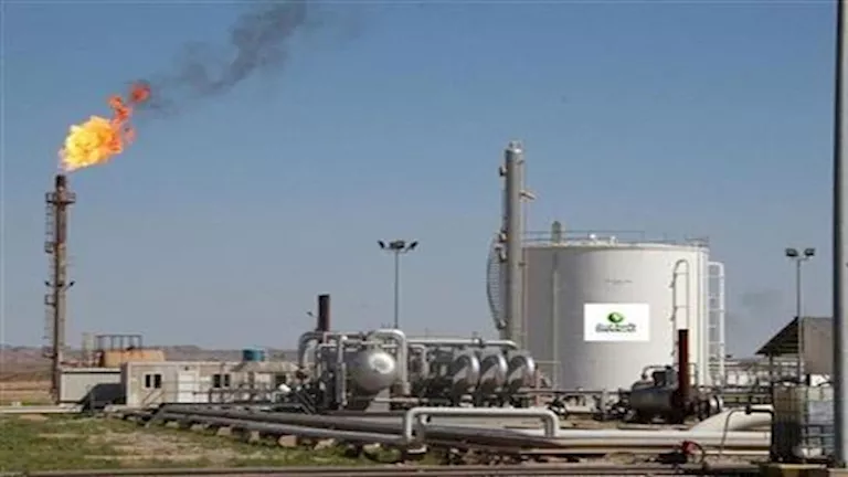 2025 12 11 10 31 1 718.webp