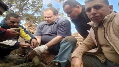 2025 12 11 12 25 52 135.webp