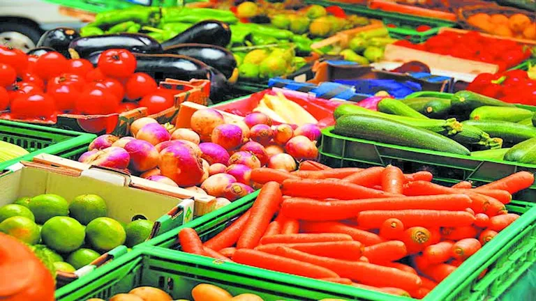 2025 12 11 13 31 8 237.webp