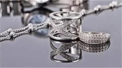 2025 12 11 14 14 10 295.webp