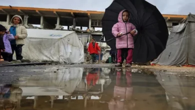 2025 12 11 18 57 13 500.webp