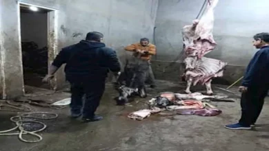 2025 12 11 20 34 39 159.webp