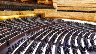 2025 12 12 11 25 38 184.webp