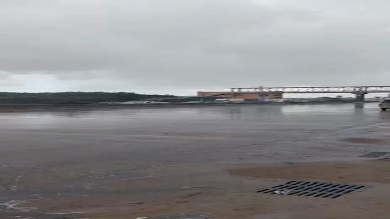 2025 12 12 11 3 50 484.webp