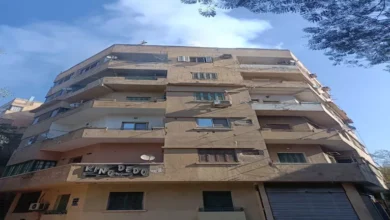 2025 12 12 11 44 13 47.webp