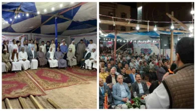 2025 12 12 11 45 28 976.webp